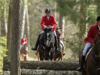 Tisvilde 8
